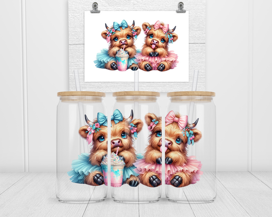 Cute Cows
