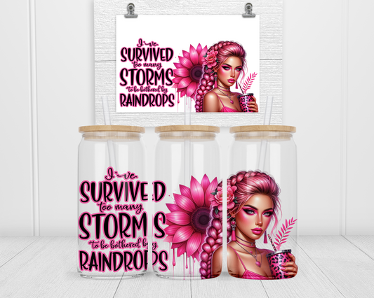Survived Storms