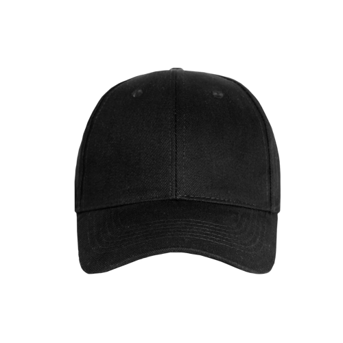 Promo 6 Panel Cap