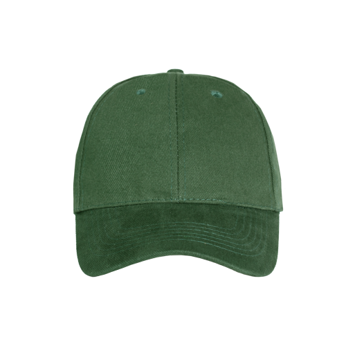 Promo 6 Panel Cap