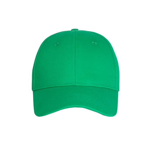Promo 6 Panel Cap