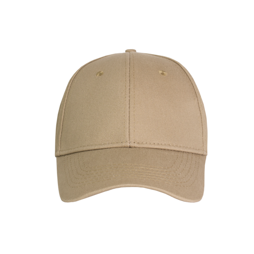Promo 6 Panel Cap