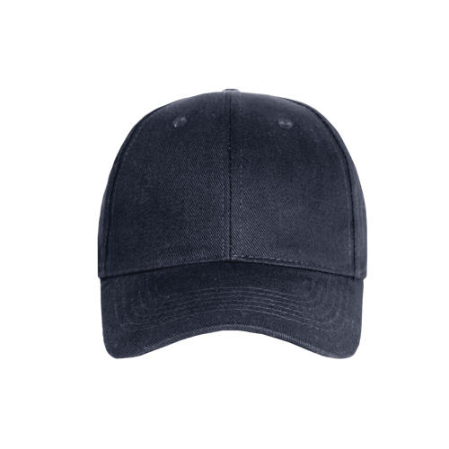 Promo 6 Panel Cap