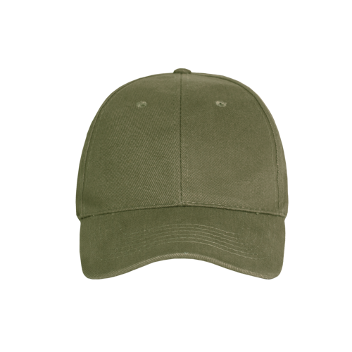 Promo 6 Panel Cap