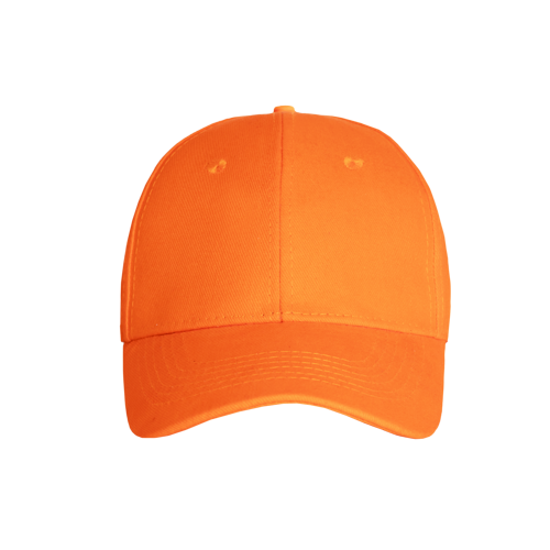 Promo 6 Panel Cap