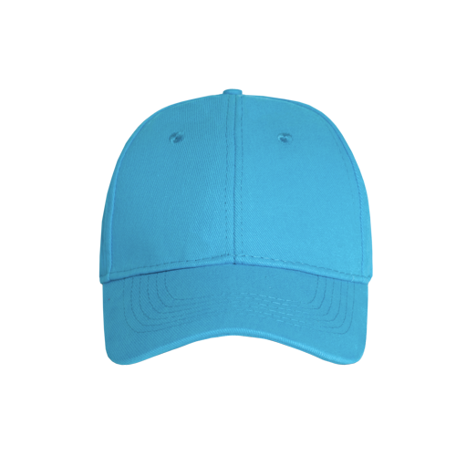 Promo 6 Panel Cap