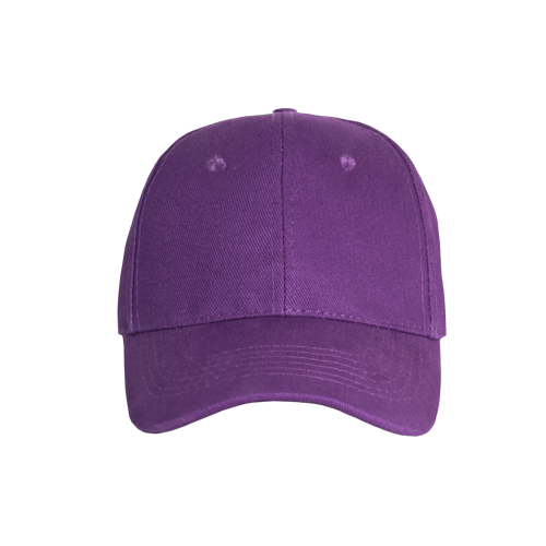 Promo 6 Panel Cap