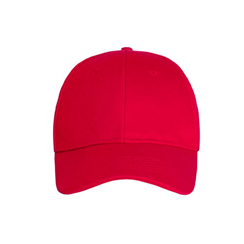 Promo 6 Panel Cap