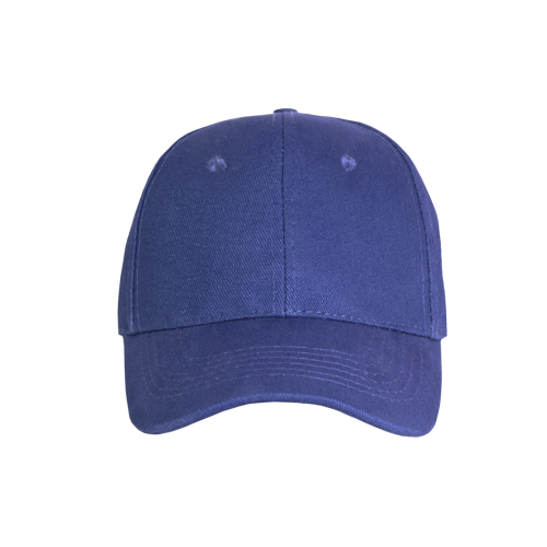 Promo 6 Panel Cap