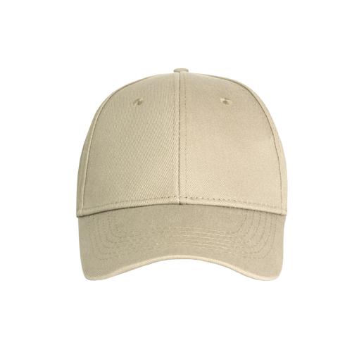 Promo 6 Panel Cap