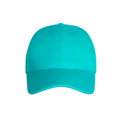 Promo 6 Panel Cap