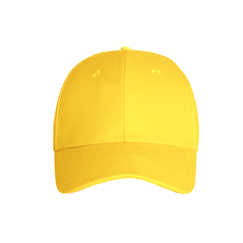 Promo 6 Panel Cap