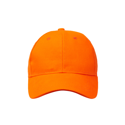 Classic 6 Panel Cap