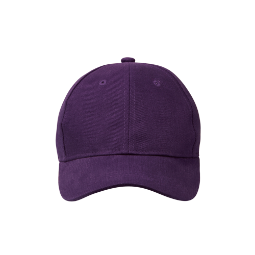 Classic 6 Panel Cap
