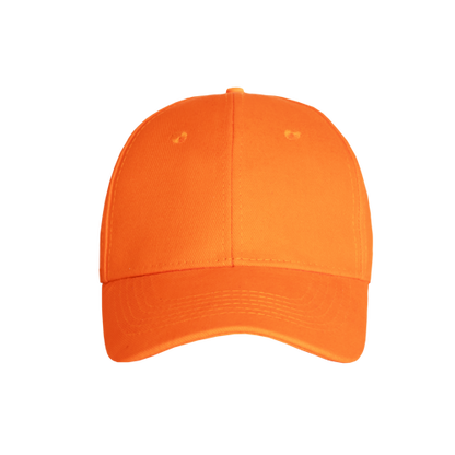 Promo 6 Panel Cap